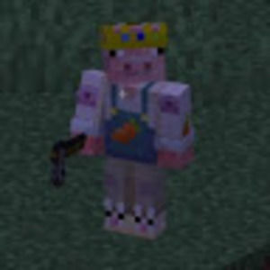 Meet your Posher, Abbey